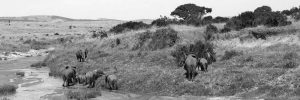 Viajar a Kenia